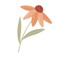 A simple autumn floral illustration featuring two stylized coneflowers and a branch with orange flowers, using muted tones of orange, brown, and green. Perfect for seasonal and botanical designs.