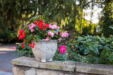 Red begonias in stone vase is on the terrace of a country house as a landscape decoration.