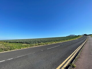 road in the countryside