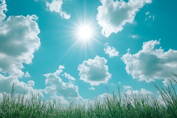 Fototapeta premium Sunny Day with Green Grass and Blue Sky