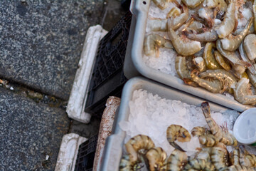 Fresh seafood sale at urban market