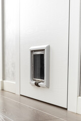Door for pets in the interior of the apartment, house.