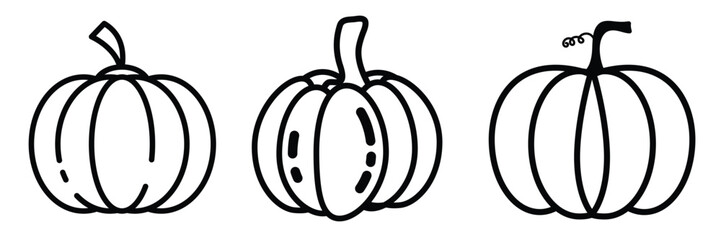 pumpkin icon collection. Thanksgiving . winter squash symbol. Vector illustration.