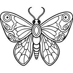 Moth with detailed wings and intricate patterns on its body vector