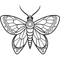 Moth with detailed wings and intricate patterns on its body vector