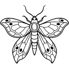 Moth with detailed wings and intricate patterns on its body vector
