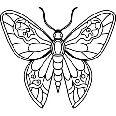 Moth with detailed wings and intricate patterns on its body vector
