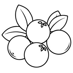 A close up of a bunch of cranberries. The berries are all the same size and are arranged in a circular pattern. The leaves are green and are surrounding the berries. The image has a simple