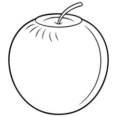 A coconut with a stem. The apple is unripe and has a green stem. The apple is the main focus of the image