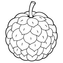 A white colored drawing of a custard apple with a stem. The fruit is a small, round, and fuzzy looking fruit with a stem