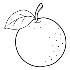 A drawing of a large orange with a leaf on top. The drawing is in black and white