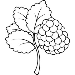 A leafy mulberry plant. The berries are small and round