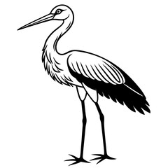 Stork standing on one leg, with long, slender legs and a beak vector