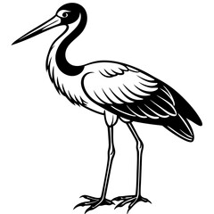 Stork standing on one leg, with long, slender legs and a beak vector