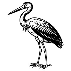 Stork standing on one leg, with long, slender legs and a beak vector