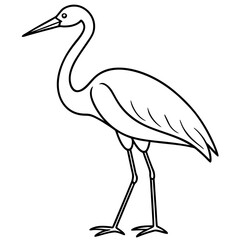 Stork standing on one leg, with long, slender legs and a beak vector