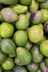 Green avocado stack in market