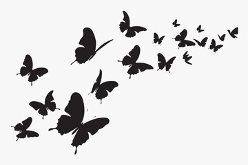Fototapeta premium Silhouette butterflies in flight pattern