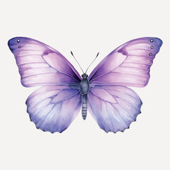 Obraz premium Vibrant watercolor purple butterfly
