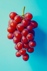 A bunch of red grapes against a solid blue background.