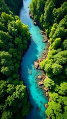 Aerial view of winding river through lush rainforest with clear blue waters reflecting sunlight