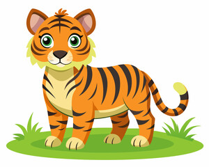 A tiger cub is standing on the grass on white background 