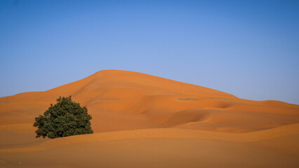 The landscape of Erg Chebbi in Morocco