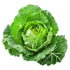 Obraz premium This vibrant green cabbage is characterized by its tightly wrapped leaves, offering a crisp and refreshing addition to any culinary creation
