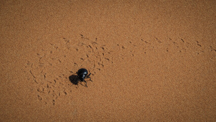 The landscape of Erg Chebbi in Morocco