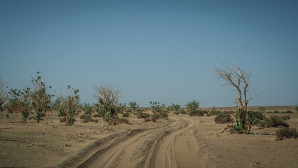 The Sahara Desert en route to Erg Chigaga in Morocco