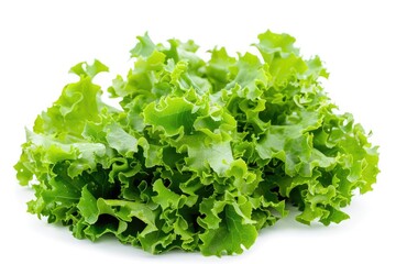 Fresh green lettuce sitting on a white surface, perfect for garnishing or photography