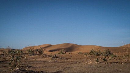 The landscape of Erg Chigaga in Morocco