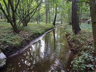 river, forest, polish woods, wisniowa, bagieniec, summer, lower silesia, june 2024, green, nature,...