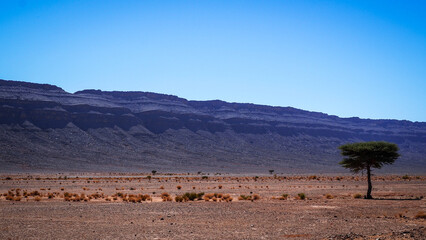 The desert landscape of Southern Morocco
