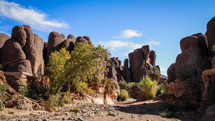 The landscape of Tislite Gorge in Morocco