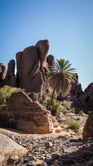 The landscape of Tislite Gorge in Morocco