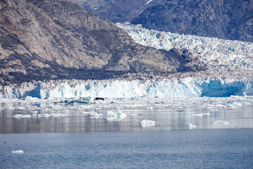 Columbia Glacier Scenery