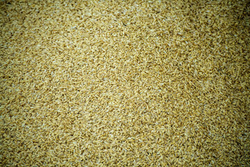 新米を脱穀した後の籾殻