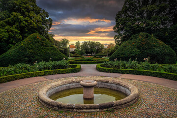 Beautiful summer English garden at sunset	