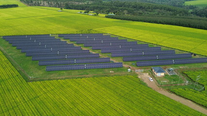 Solar Renewable energy