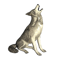 Fototapeta premium Howling wolf vector ilustration design 