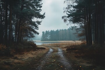 Obraz premium Misty forest path leading to a lake with tall pine trees and a foggy atmosphere