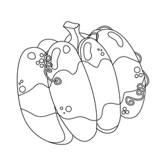 Pumpkin stroke icon. Autumn Halloween or Thanksgiving pumpkin symbol. Vector illustration isolated on white background.