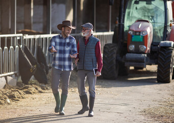 Two farmers talking on cow farm