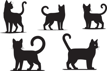 cats in different positions