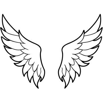 recommend clip art: Elegant Curved Angel Wings - Detailed Vector Art