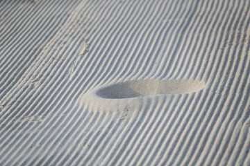 Footprints of Forgetfulness Slowly Buried by the Sea Wind