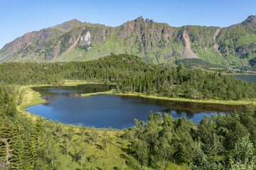 Lake in forest surrounded by mountains with clear sky, Lofoten Norway