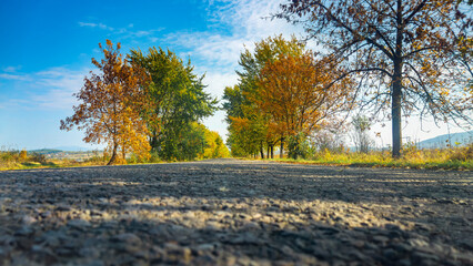 Autumn asphalt road goes into the distance between trees. Green, yellow, orange and blue colors. Sunny weather and no one around. Low angle. Pebbles and asphalt structure are visible.