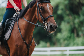 Close-up image of a person riding a brown horse at a ranch with a nature background.